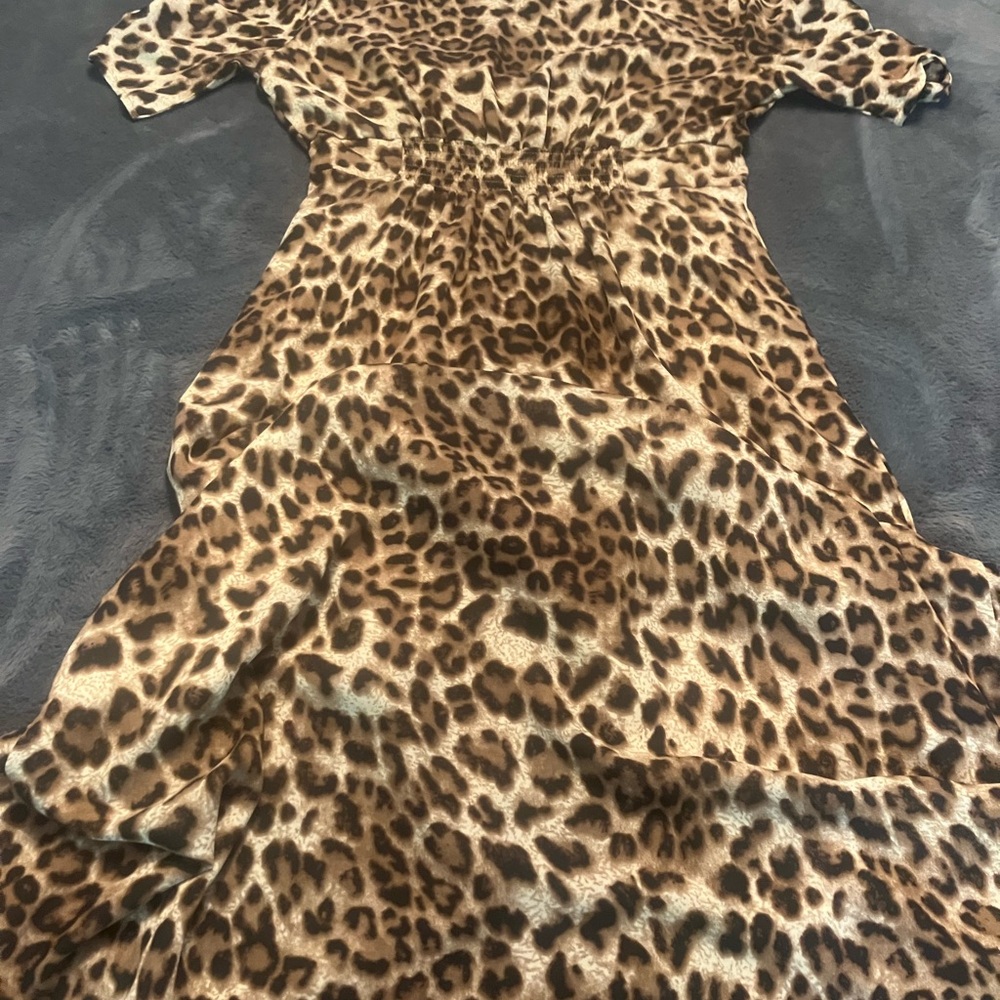 Astr Leopard Print Dress $30 NWT